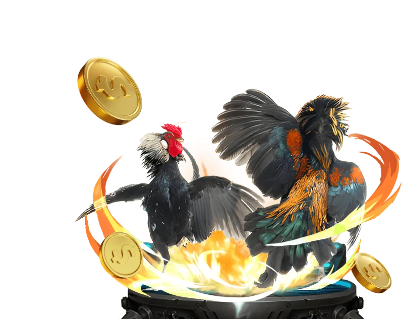 Hoàn trả hàng ngày